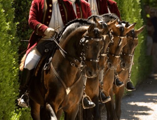 Alter Real – königliche Pferde – das älteste Gestüt Portugals