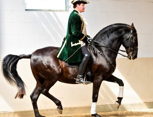 “Regeln für die Ausbildung von Piaffe und Passage und Ausnahmen davon am Beispiel unterschiedlicher Pferde“