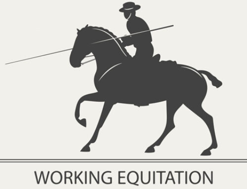 Working Equitation Turniere 2024
