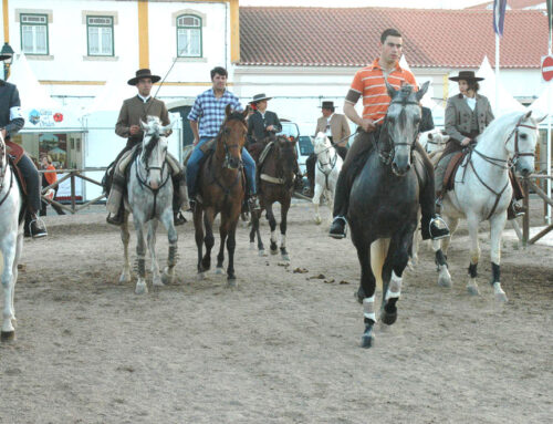 Feira Nacional do Cavalo – Das weltgrößte Lusitano-Pferdefest in Golegã