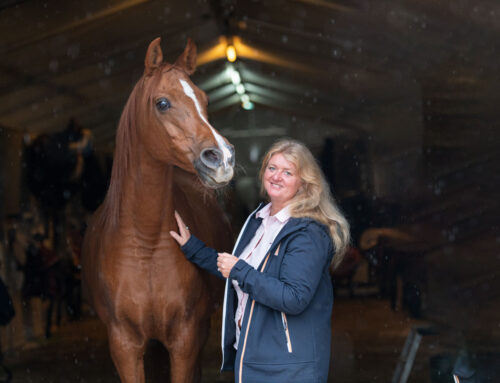 Pferdehaltung bei CAVALLUNA: Anita Förster im Interview