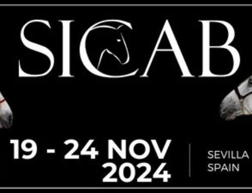 Internationale Messe PRE SICAB 2024: Weltmeisterschaft der reinrassigen spanischen Pferde in Sevilla