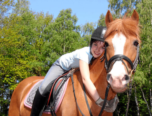 Wann ist das richtige Alter, um Reiten zu lernen?