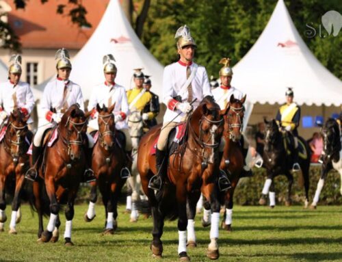 Über 100 Jahre Tradition in Neustadt (Dosse): Die Hengstparaden