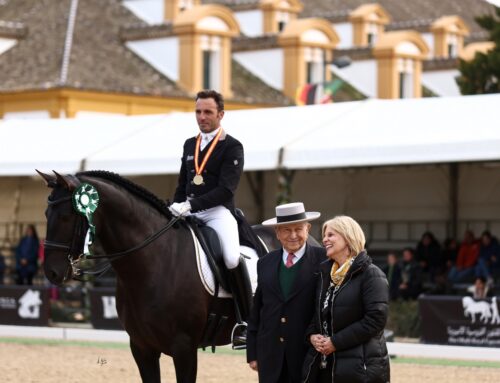 Die Eleganz und Vielseitigkeit der spanischen Pferde im Dressursport