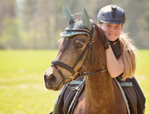 Kann jeder gut reiten lernen?