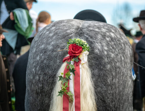 Leonhardifahrt in Benediktbeuern: Ein Fest der Tradition und Gemeinschaft