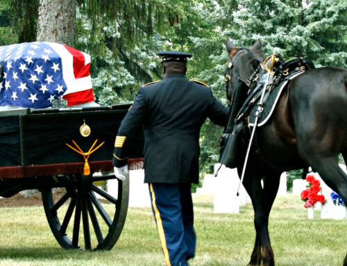 Quincy, das Caisson-Pferd: Ein neuer Gefährte für Veteran George