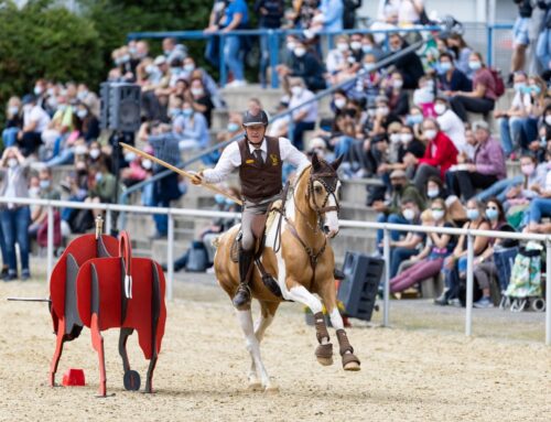 Working Equitation auf der Equitana: Ergebnisse und Faszination