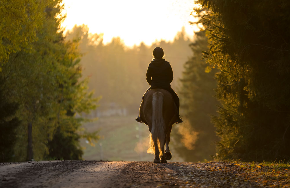 Australien Pferde Reiter Reiterinnen Hofreitschule News Pferde Nachrichten