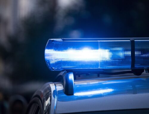 Zwei Pferde und ein Pony bei Zusammenstoß mit Auto in Martfeld getötet