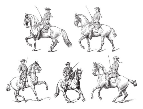 Was ist Reitkunst? Ein tiefer Einblick in eine jahrhundertealte Tradition