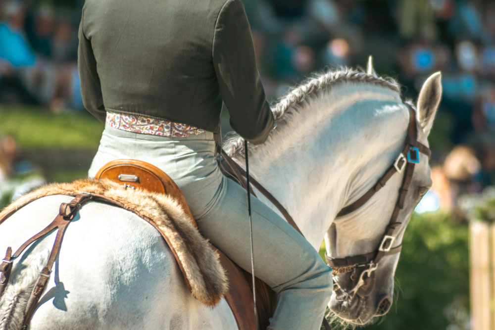working-equitation Working Equitation