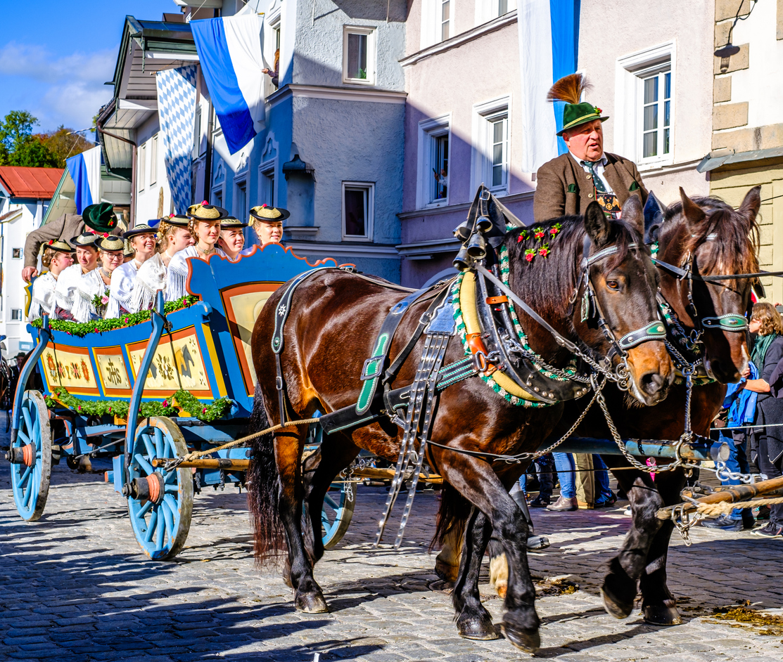 Leonhardi Procession in Bad Toelz – Bavaria Leonhardiritt. Pferde Tradition, Pferdenachrichten Hofreitschule News