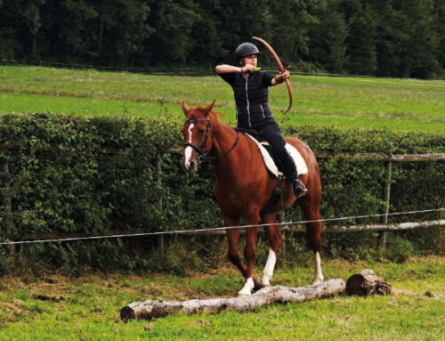 Lehrgang „Kavallerie-Reiten“