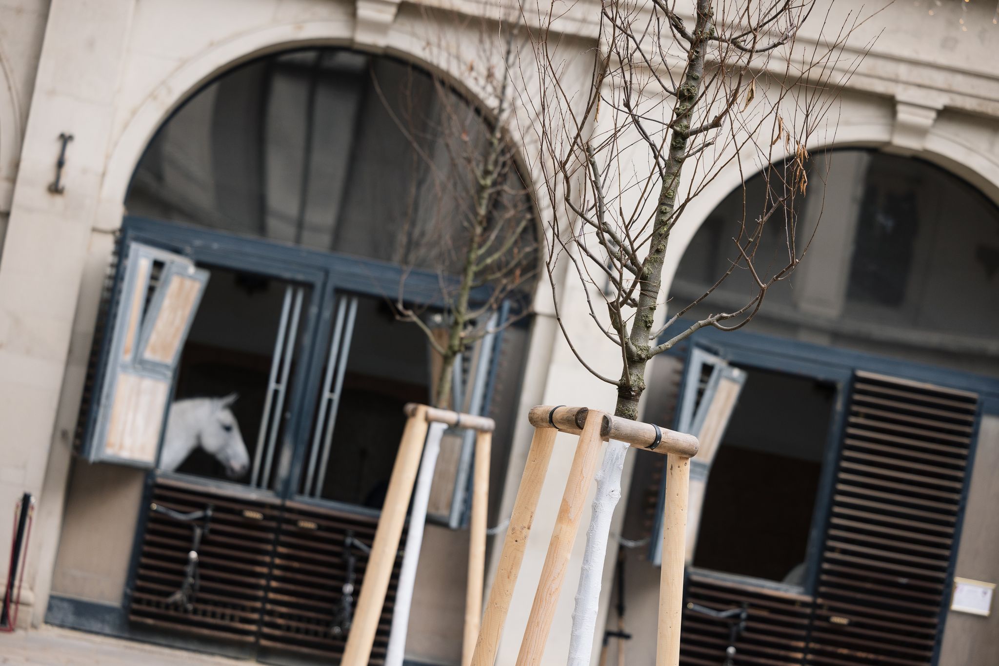 Spanische Hofreitschule, Naturschutz, Hofreitschule Wien, Hofreitschule News