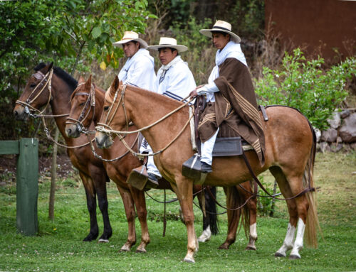 Der Paso Peruano