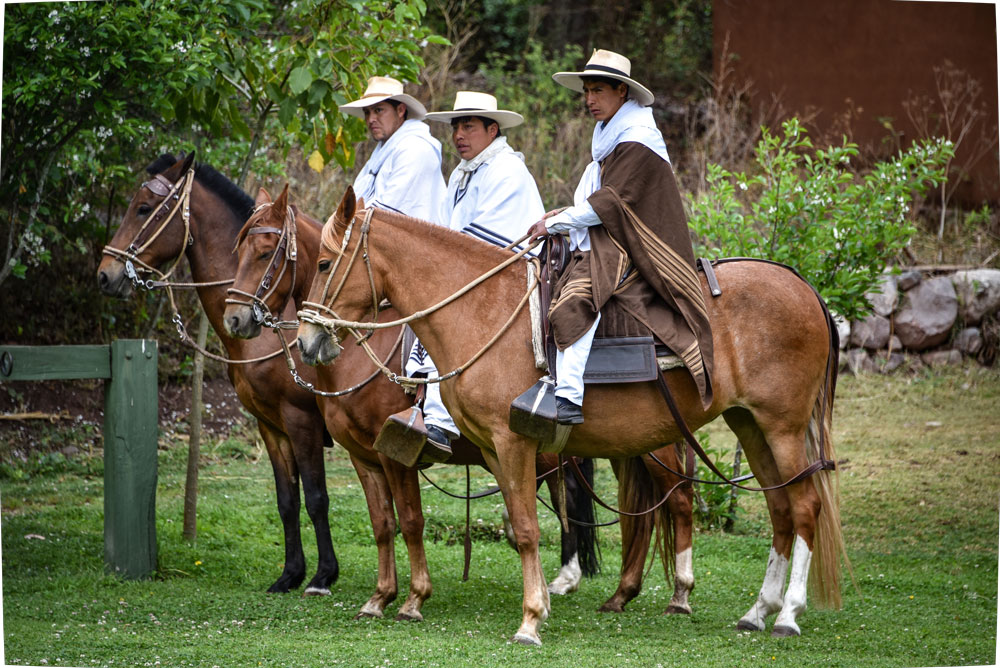 Paso Peruanos , Barockpferde, Hofreitschule News
