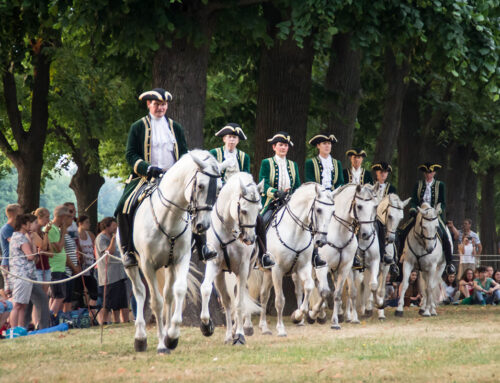 Ein Sommermärchen im Herzen Hannovers