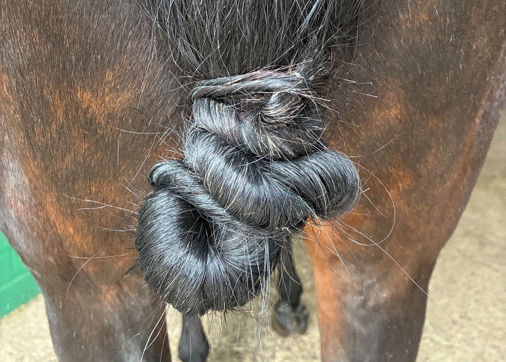 Nudo Vaquero, Schweifknoten