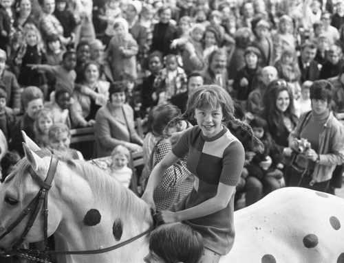 Pippi Langstrumpfs Pferd: War der „Kleine Onkel“ wirklich ein Knabstrupper?
