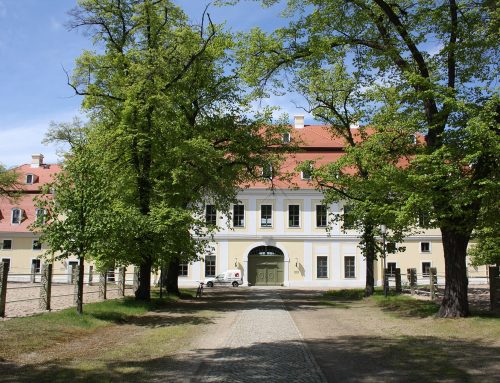 Graditz – wo Pferdezucht Geschichte geschrieben hat
