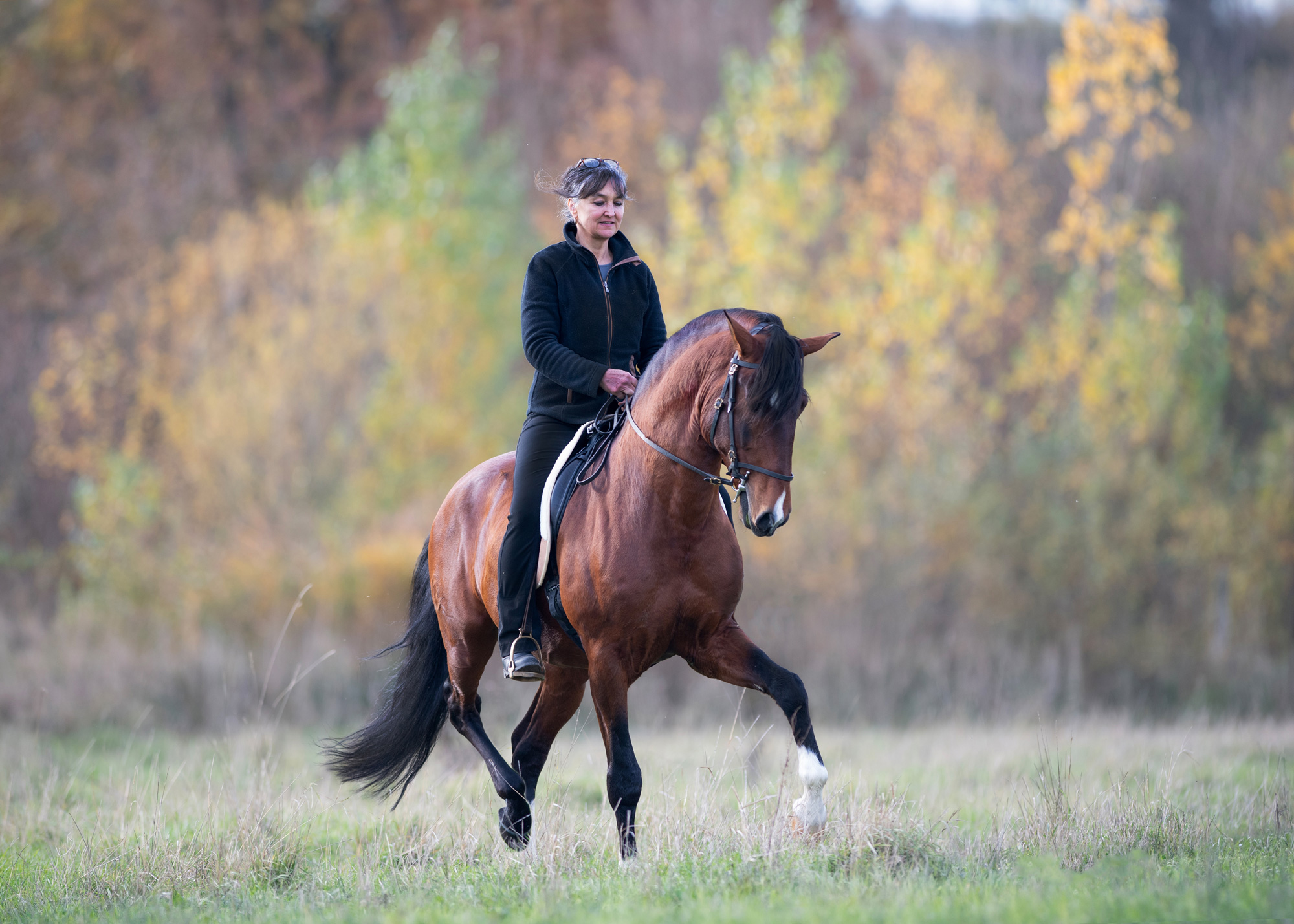 Sonja Weber mit dem 10-jährigen Lusitanohengst Magusto